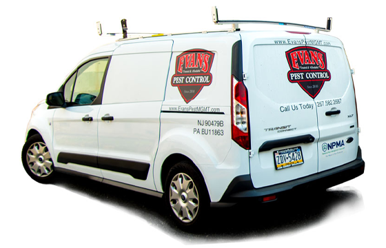 evans pest control are expert mice, rat, and rodent exterminators