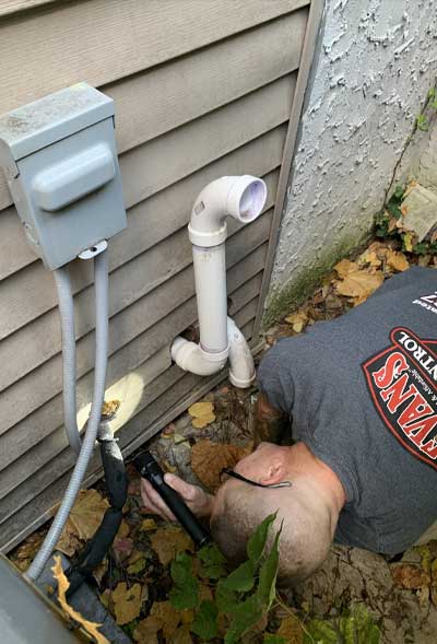 Evans residential pest-control services