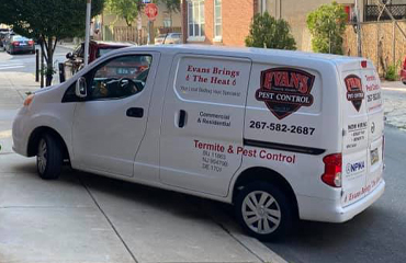 Professional Pest Control Services