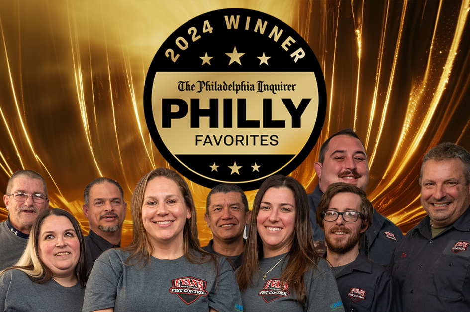 Evans-Pest-Control-Receives-Prestigious-%22Philly-Favorites%22-GOLD-Award-