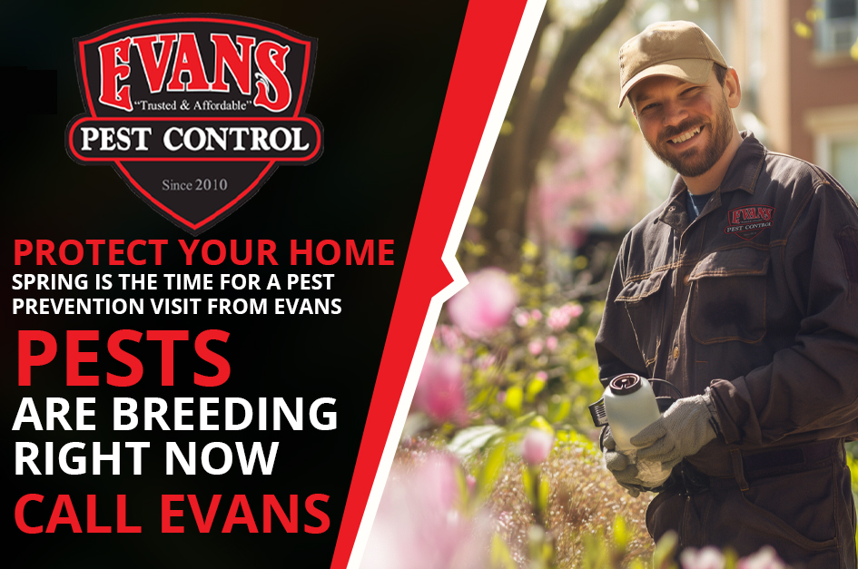 Spring-into-Action%3A-Protect-Your-Property-Against-Pests-with-Evans-Pest-Control